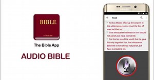 7.9K views · 33 reactions | If you've been too busy with work and life, you should spend some quality and quite time with God because He never leaves you, but you are putting Him down. Download the free Bible study app to pray to Him now. | Light Bible | Facebook