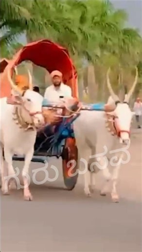 New Janapad Songs #uk # uk janapad #janapada #janapada_songs_kannada_feeling_dj