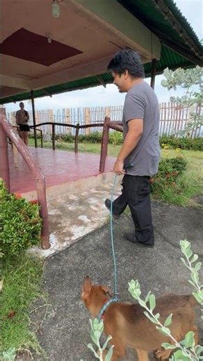 Jumping training Astro #shorts