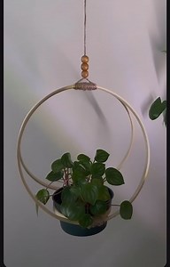 84K views · 557 reactions | Las Comadrejas on Reels | Facebook