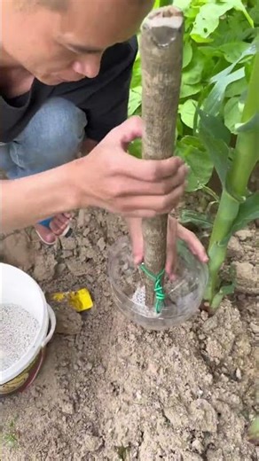 New method of topdressing