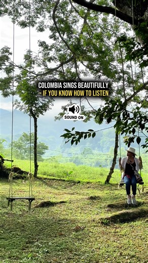 Explore the Vibrant Sounds of Colombia's Nature