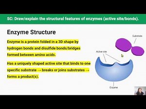 Enzymes (Video 4 in 2.4 Series)