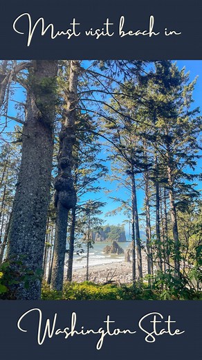 Sheila G | ᴛʀᴀᴠᴇʟ•ғᴏᴏᴅ•ᴄᴜʟᴛᴜʀᴇ | Save this spot for the next picnic! 📍 Ruby Beach in Olympic National Park has stunning rock formations, driftwood structures and active... | Instagram