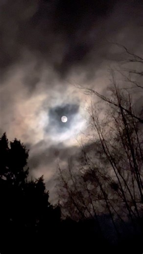 34 reactions · 5 comments | The #moon looking magnificent tonight. Inspiration for my textile art! | Art in Textiles | Facebook