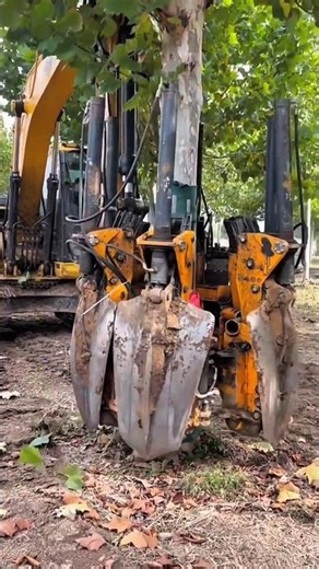 Tree harvesting machine ##foryou
