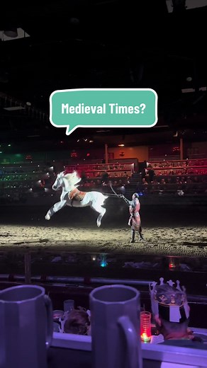 Medieval Times Experience Review: Show and Dinner