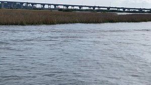 In 49 days we’ll be testing the waters. Or will the waters be testing us? 49 days til BOATING SEAON! Watch out for the dolphins… | Al Carroll