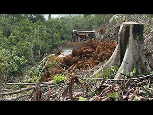 Creating a New Road, Bulldozer D6R XL Working in the Mountain Plantation