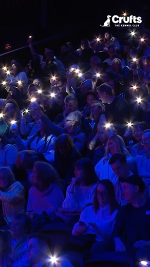 What a fantastic Crufts 2025 it’s been! 🐾 From amazing agility feats to heartwarming moments, we’re already looking forward to next year 🎉 📽️ - @crufts | NEC Birmingham