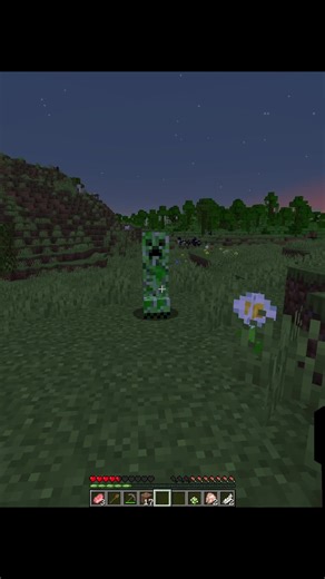 Transforming a Traditional House into a Café