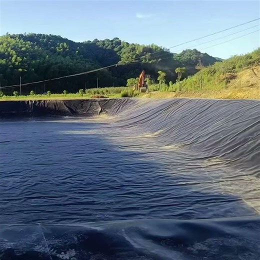 Build Stronger, Safer Fish Ponds with HDPE Liners 🐟🌊 #geosynthetics #aquaculture