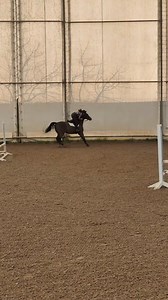 9.3K views · 131 reactions | Literally the most embarrassing fall I've had Caption and video by Mattie Make sure to follow us @horsesvideosfails for more fails No hate tolerated!! #horselovers #horsefails #horsefail #horseridingfail #horseridingfails #horses #horseofinstagram #jumping #horsejumping | HorseLovers Fails | Facebook