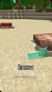 2.4K views · 24K reactions | Turtle farm in Minecraft #minecraft #gaming | Globe Pen | Facebook