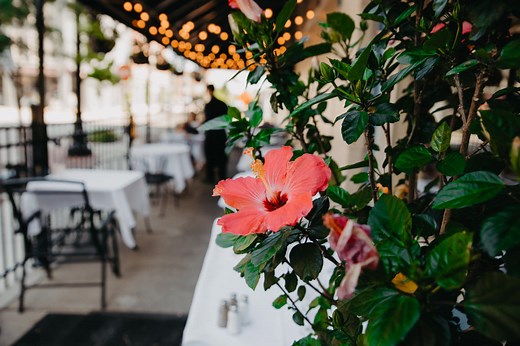 Best Restaurants and Dining Options in Downtown Lafayette | Lafayette, IN