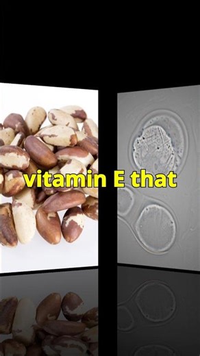 Discover the Secret Power of Brazil Nuts! 🌰💪
