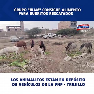 213K views · 1.7K reactions |  #ExitosaTrujillo | #ATENCIÓNI Tras...