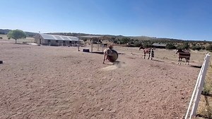 6K views · 656 reactions | Snow and Gideon are the best at saying...