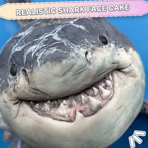 676K views · 1.7K reactions | HYPER-REALISTIC Shark Cake Tutorial! 麗 | Zoe's Fancy Cakes | Facebook
