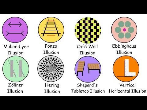 Every Geometry Illusion Explained in 8 Minutes – How Mathematics Alters Your Brain