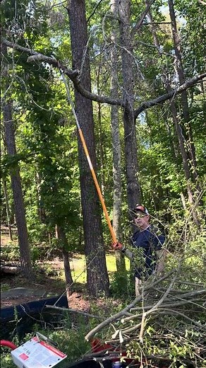 Using Fiskars pole saw to remove a tree branch