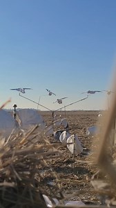 Deadly Decoys, Inc. on Reels