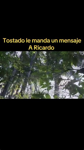 Tostado le manda a un mensaje a Ricardo con uno de sus hombres que estaba en Colombia #elchema #elchemavenegas #paratiiiiiiiiiiiiiiiiiiiiiiiiiiiiiii