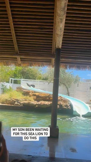 The slide is the highlight! | Mama Lanlan