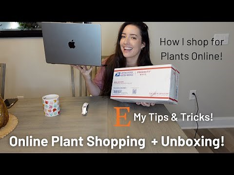 How I Shop for Plants Online! Tips and Tricks to Buying a Plant on Etsy! | Unboxing the Plant!