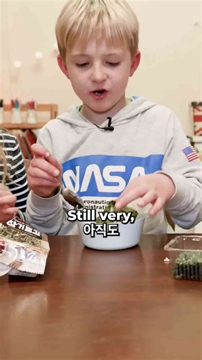 Kids taste test Korean seaweed & rice | Hilarious reactions & messy fun!