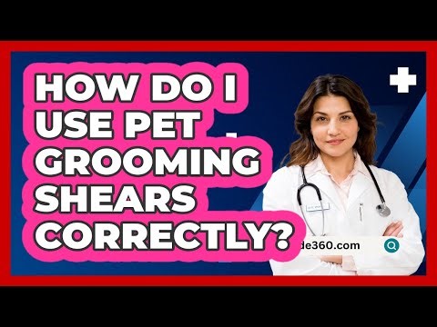 How Do I Use Pet Grooming Shears Correctly?