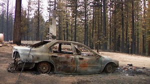 8K views · 162 reactions | TAMARACK FIRE EVACUEES RETURN HOME: Firefighters are gaining ground on the Tamarack Fire, using calmer winds and higher humidity to increase containment to 54%. The fire is now at 68,103 acres. Some evacuees were able to return home, but some found devastation and destruction instead. https://www.ktvn.com/story/44381146/containment-grows-on-tamarack-fire-some-evacuees-return-home | KTVN 2 News | Facebook