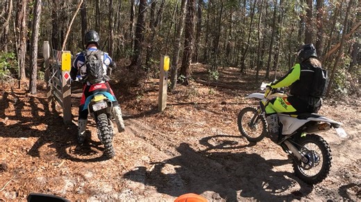 Day 2, Part 7 Wambaw Cycle Trails 02.12.26 This was the best section of the North Loop because of the tree canopy shade. (Whoop-De-Doos just 4 U) | Ohio Woods Riders LLC