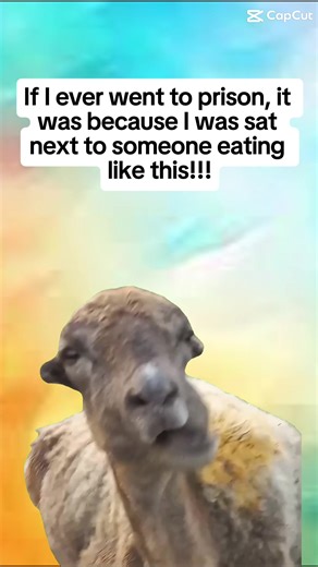 Absolutely! Drives me insane to hear someone chew!! #capcut #meme #memecutmeme