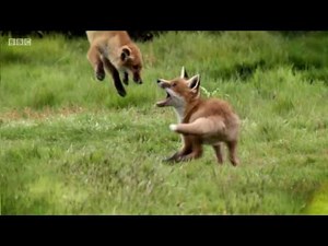 BBC Springwatch 2017: Episode 1 (Intro)