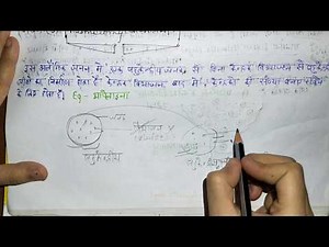 प्लाज़्मोटोमी विधि - Plasmotomy - अलैंगिक जनन की विधियाँ - | जीवो में जनन |