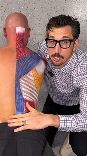 Erector Spinae Exercise