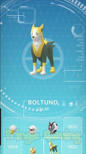 Yamper: The Evolution of a Good Boy