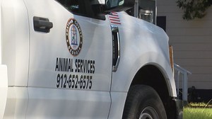 Chatham Animal Services explains how animal abuse claims are investigated