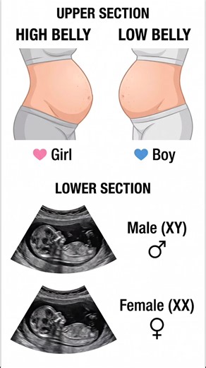 Gender Predictions: Boy or Girl? Tips for Your Pregnancy