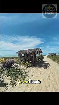 The Origin of the Bahay Kubo | The Story Behind the Traditional Filipino House