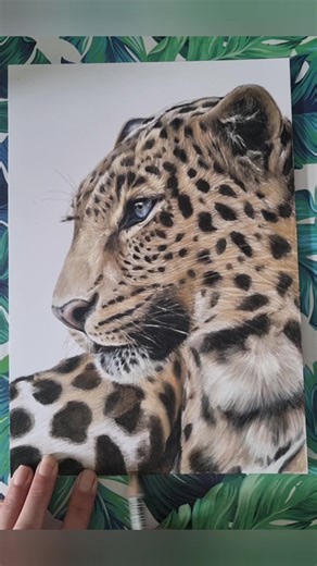 Step-by-Step Leopard Drawing Tutorial for Kids