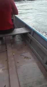 136K views · 1.8K reactions | Flood in Guyana  Kwakwani ... Area | MY GUYANA | Facebook