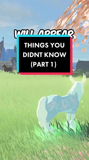 Discover Hidden Secrets in Tears of the Kingdom!