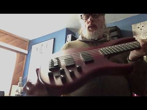 IYV IBA500 5-String 'Neck-thru' Bass Guitar