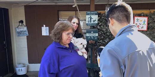 Woman who rescues sick, unwanted dogs in north Phoenix gets $5,000 reward