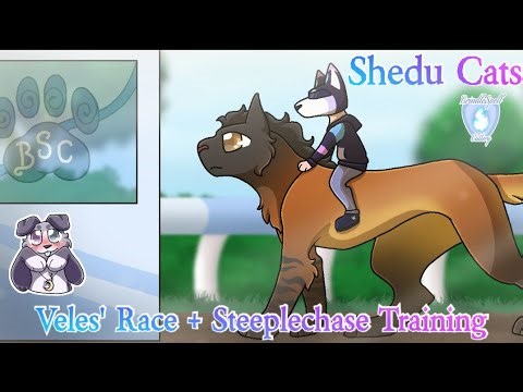 Veles' Racing and Steeplechase Training | Shedu Cats SFT Speedpaints