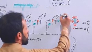 20K views · 2K reactions | #Cholera | Up Teaching Academy | Facebook