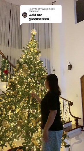 Replying to @aliyyyaaa.mxa Last christmas dance sa greenscreen kong background! #yayamutya