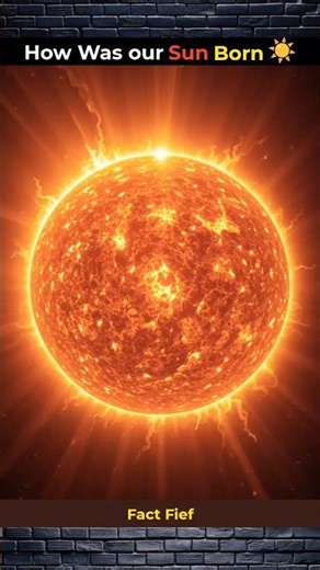 How Was Our Sun Born? | S37 | #shorts #ytshorts #facts #fact